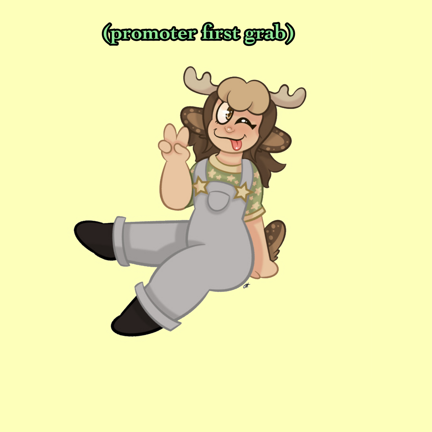 Promoter custom list( Sirius